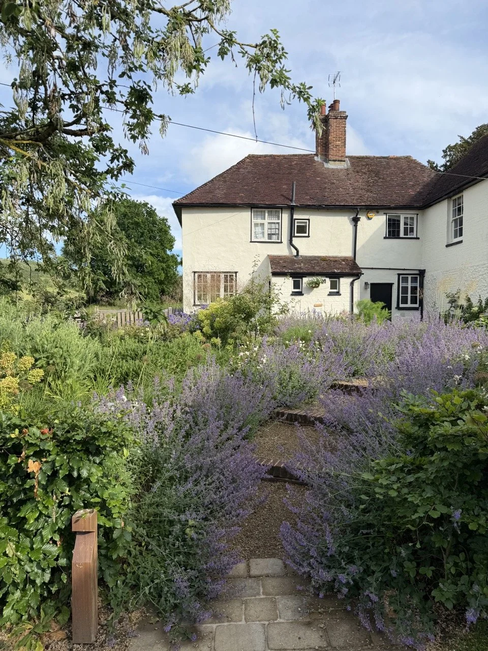 A garden pathway bordered by purple flowering shrubs leading to a white two-story house with a red-tiled roof and chimney, under a blue sky with some clouds.