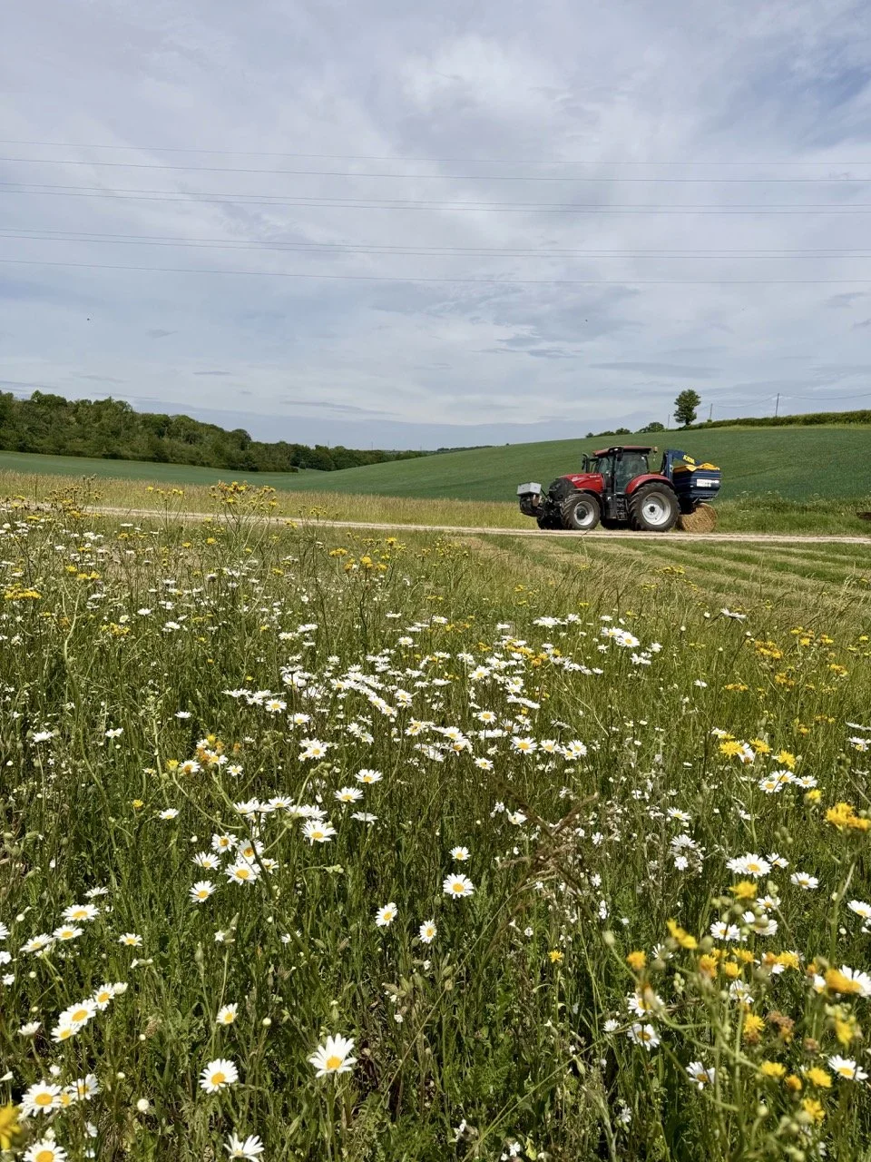 A tractor working in a lush green field with wildflowers, under a partly cloudy sky.