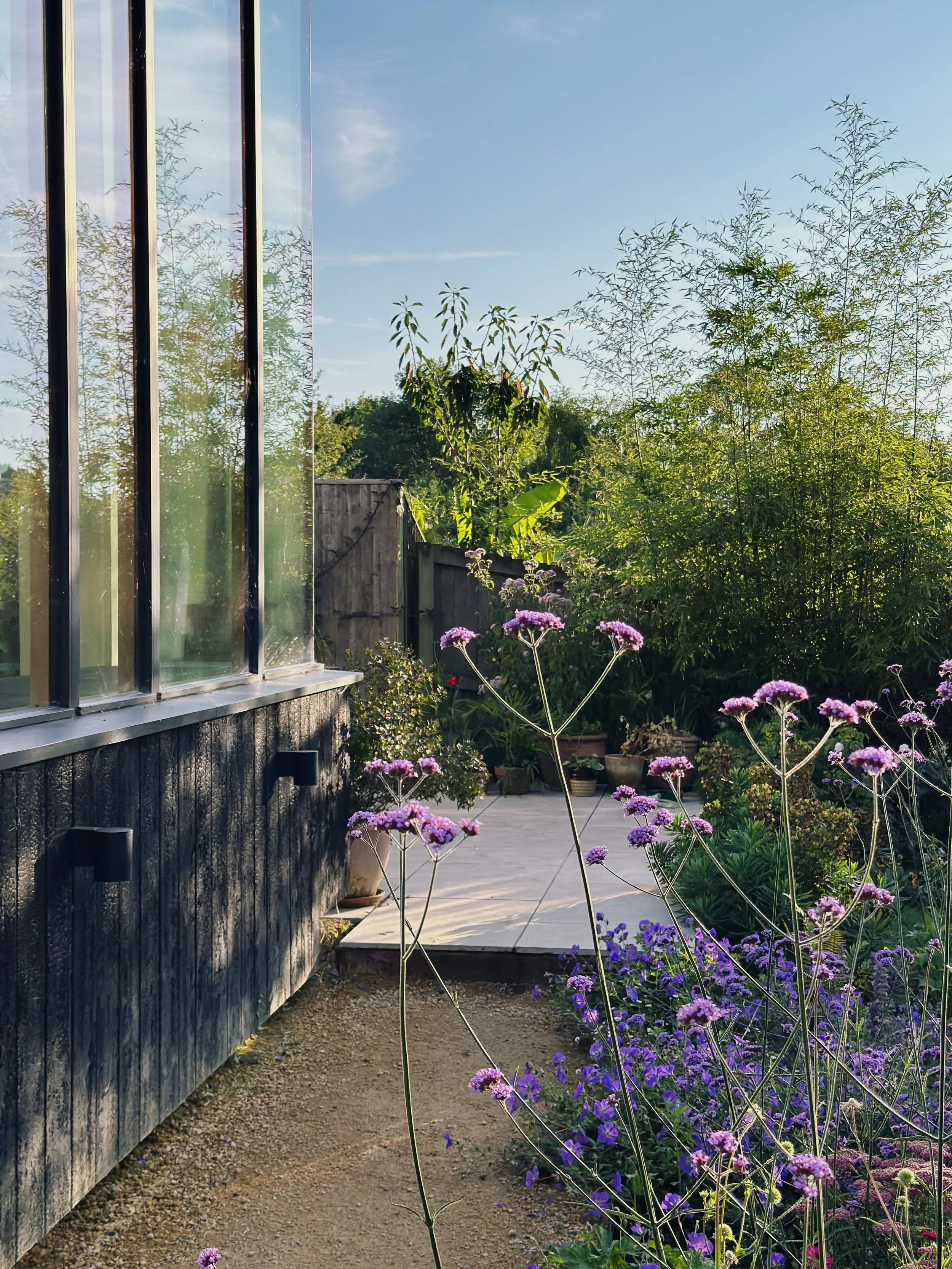 A garden scene with purple flowering plants in the foreground, a patio area with potted plants, a wooden fence, green trees, and a blue sky with some wispy clouds.