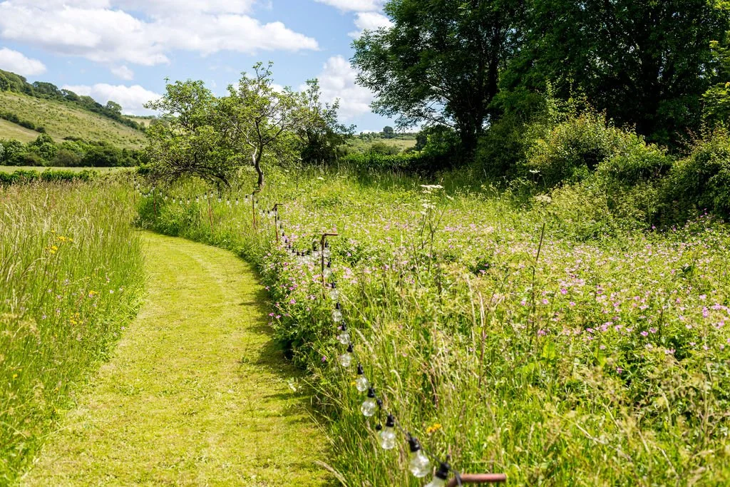 A grassy path through a lush, green field with wildflowers, trees, and rolling hills under a partly cloudy sky.