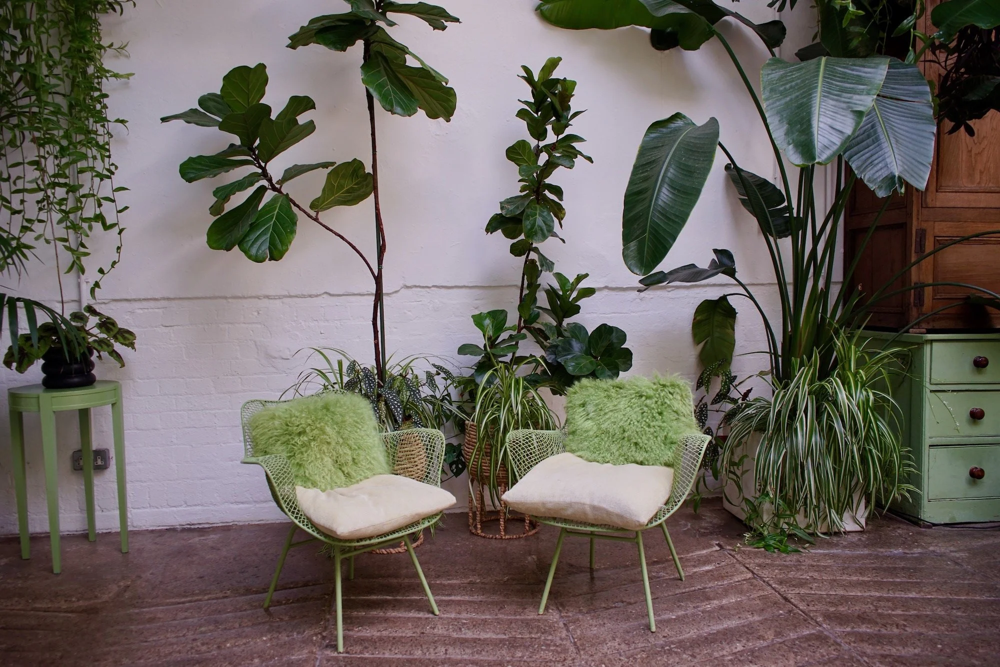 Indoor space with a white brick wall and a floor made of large stone tiles. Two green wireframe chairs with white cushions and fluffy green pillows are placed in front of the wall. Behind the chairs, there are various potted plants, including a fiddl