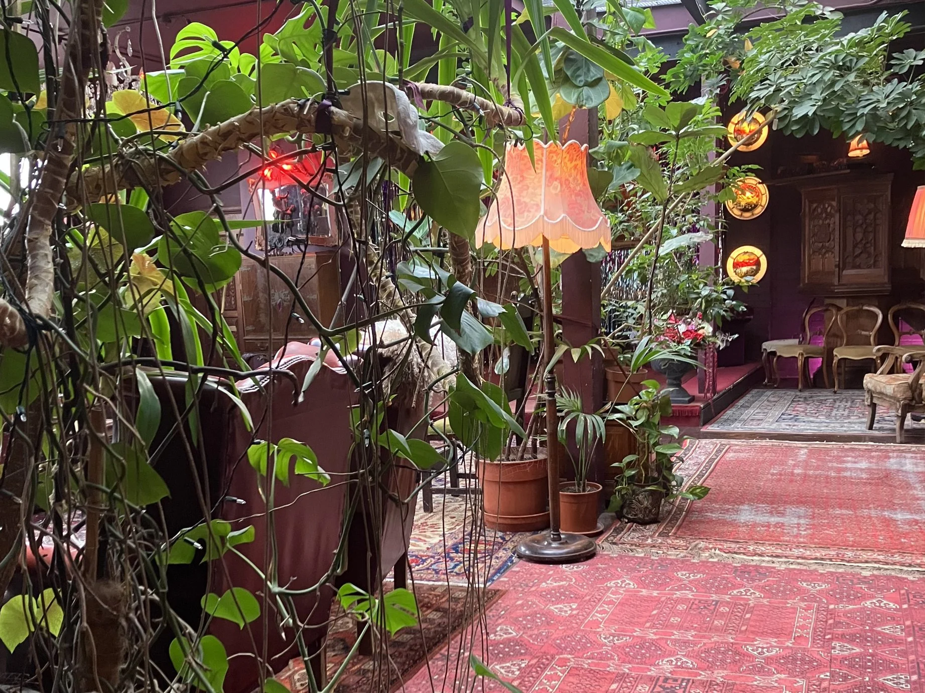 Interior of a vintage-style room with plants, a pink lampshade, wooden chairs, a red patterned rug, and decorative plates on the wall.