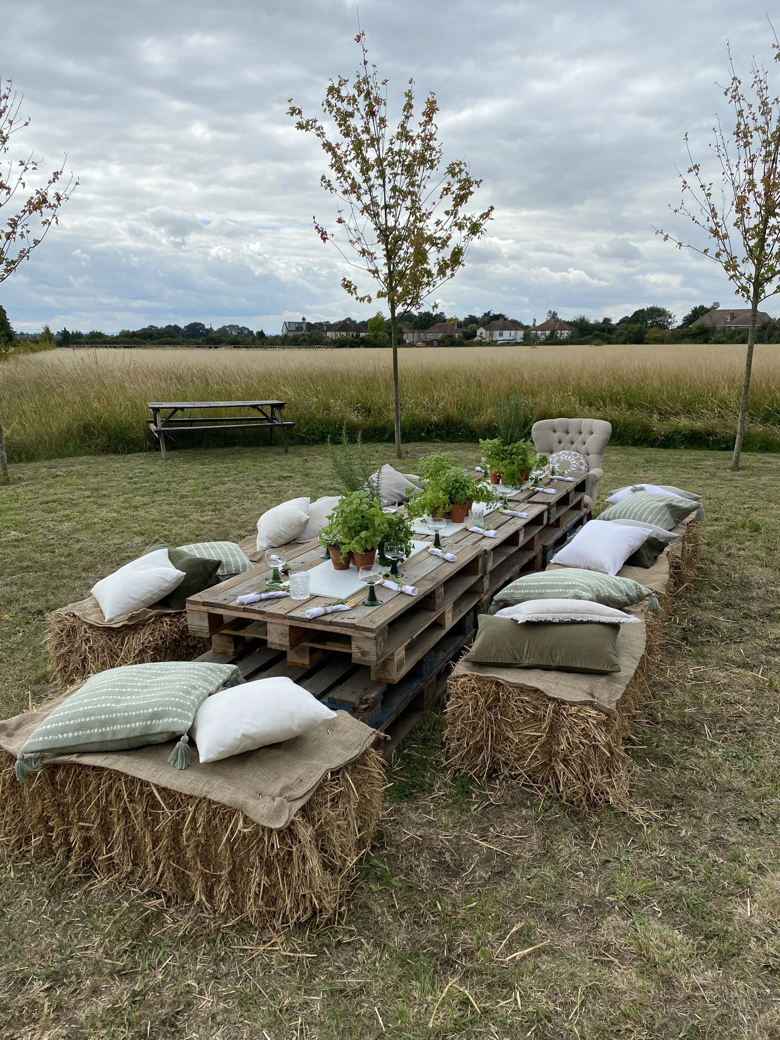 Outdoor picnic setup with pillows, a low wooden table decorated with plants and tableware, situated on hay bales and surrounded by a grassy field and trees under a cloudy sky.