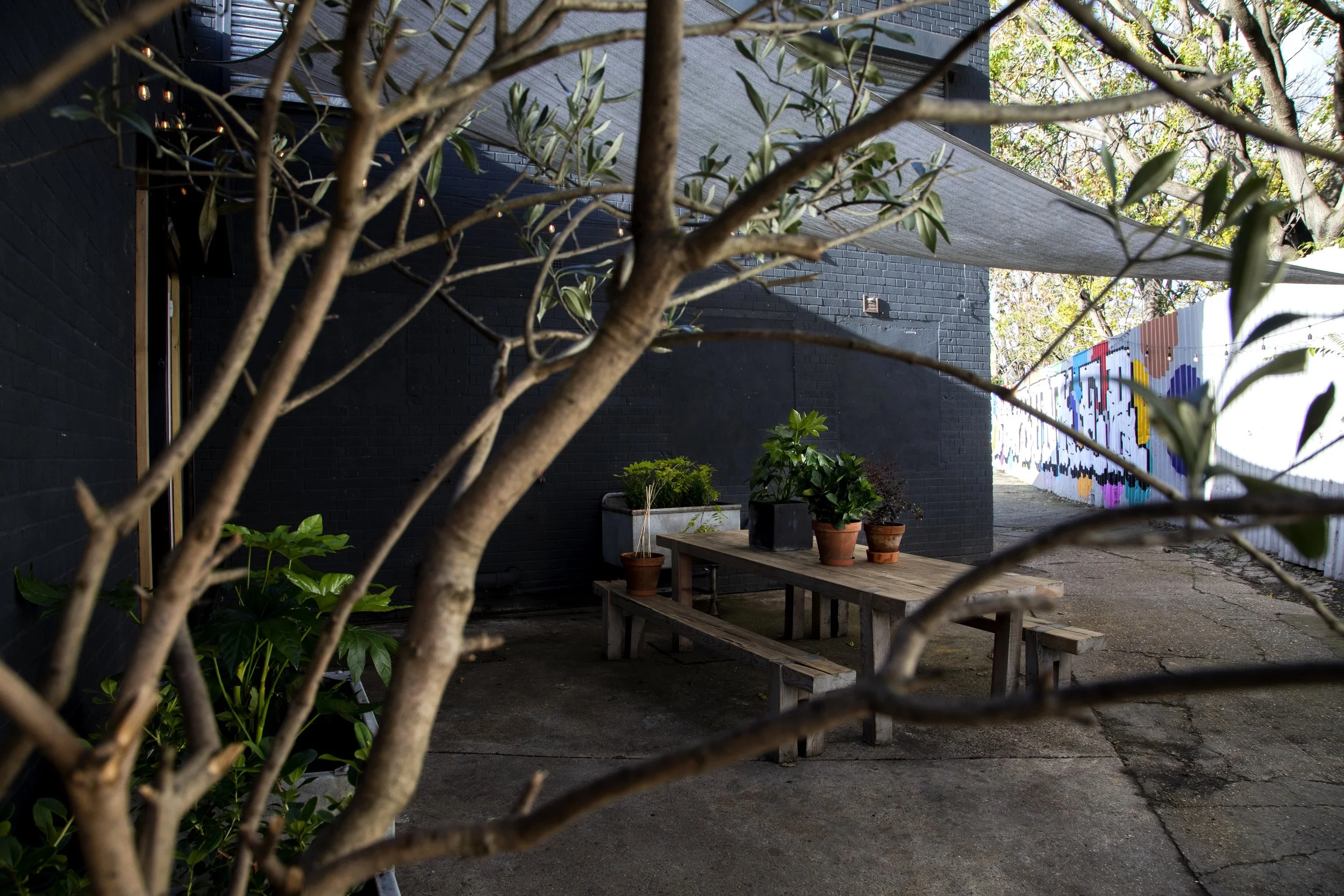 An outdoor patio area with a black brick wall, a wooden picnic table with benches, and various potted plants on the table. There is a graffiti mural on the white fence in the background, some trees and string lights in the scene.