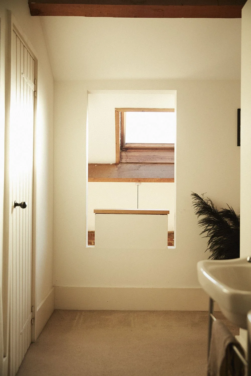 Interior view of a room with a small window-like opening in the wall, a closed closet door on the left, a corner sink on the right, and a potted plant beside the sink.