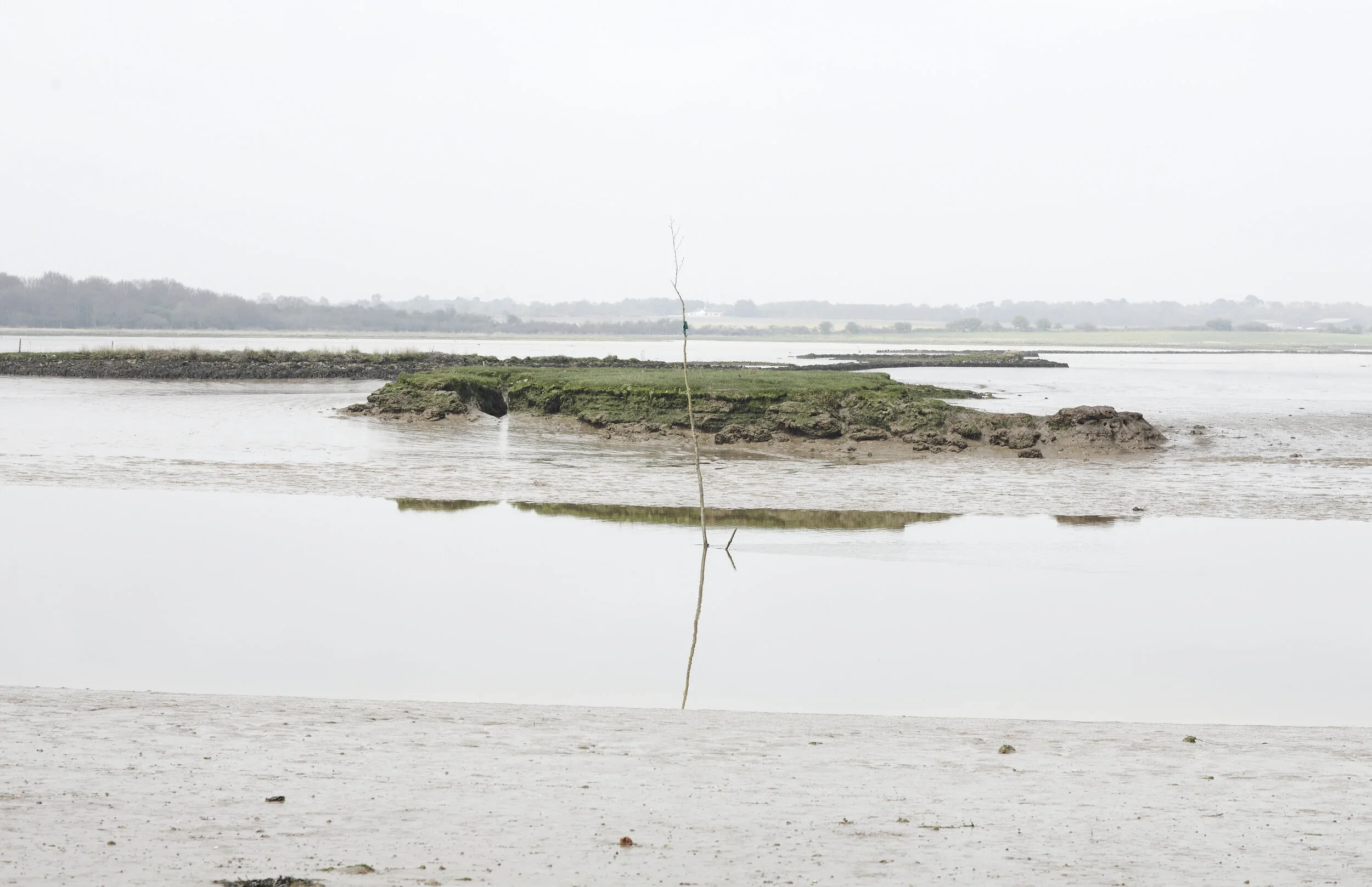 A flooded area with a small island or land formation covered in grass and mud, a leaning stick with a blue ribbon tied around it, and water reflecting the island.