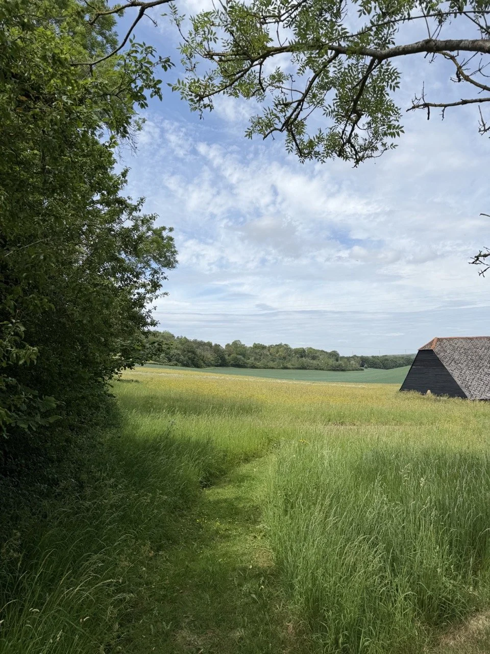 A rural landscape with a grassy walking trail, green trees on the left, an open field, and a barn on the right, under a blue sky with scattered clouds.