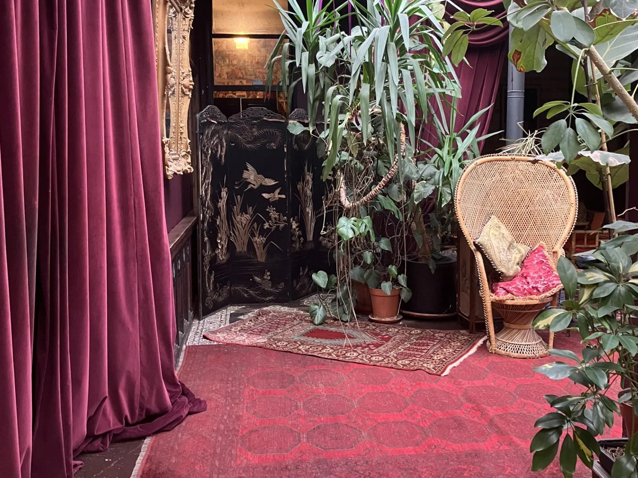A cozy room with deep red curtains, tropical plants, a wicker chair with pillows, and decorative rugs.