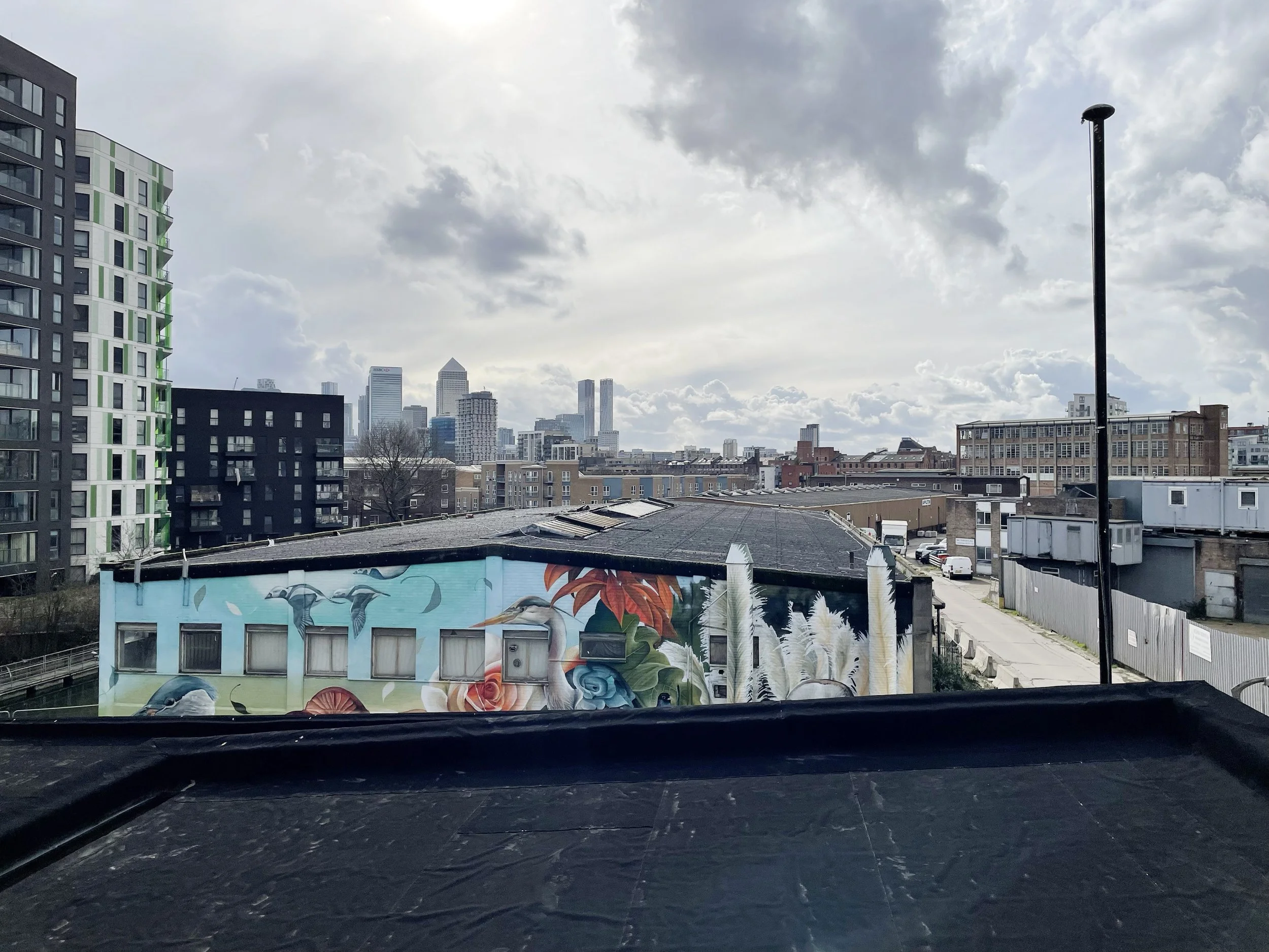 Cityscape view with graffiti mural on a building, tall to medium-height buildings in the distance, cloudy sky.