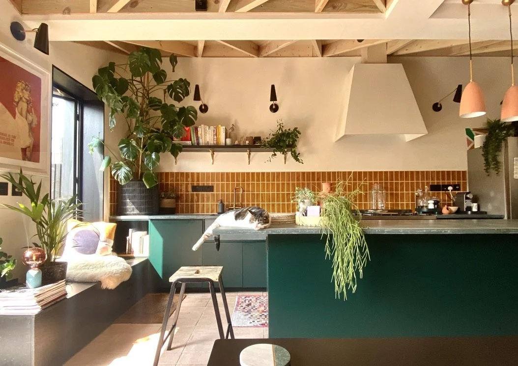 A cozy kitchen with a feline lounging on the countertop. The kitchen features teal cabinets, a wooden countertop, orange tile backsplash, and various plants. There's a window with sunlight, a bookshelf above the sink, pink pendant lights, and decorat