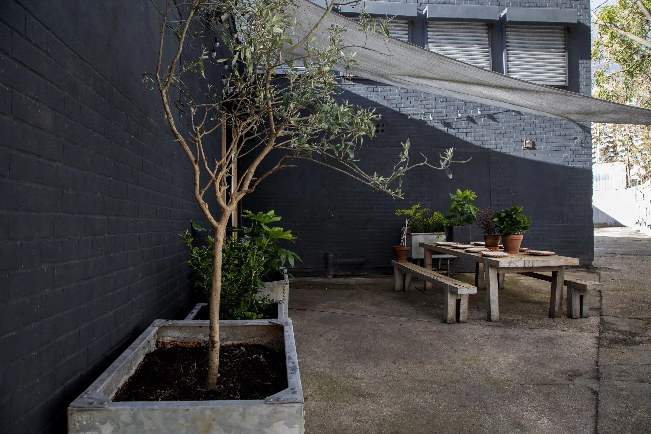 Outdoor patio with a large potted tree in the foreground and a wooden picnic table with benches on the right, decorated with potted plants and tableware, set against a black brick wall with a shaded canopy above.