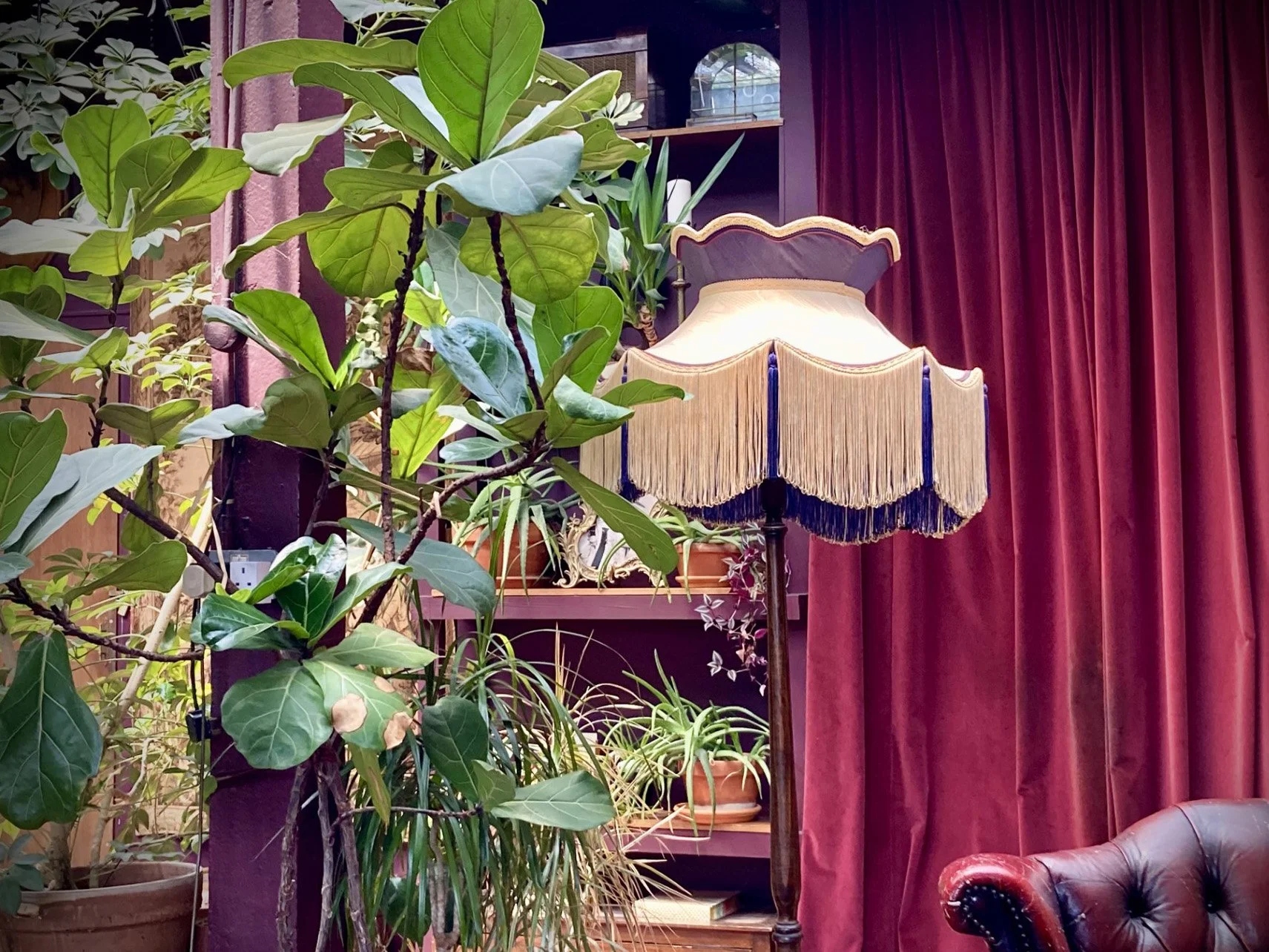Indoor scene with a large leafy plant, a vintage floor lamp with a fringed shade, red velvet curtains, and a leather armchair.