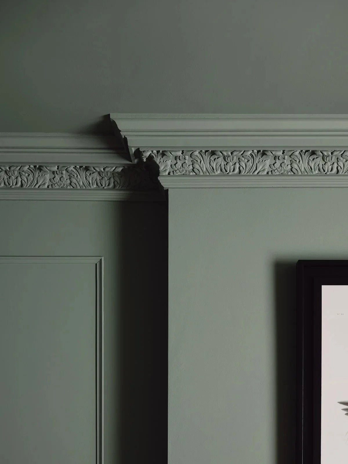 Close-up of crown molding and ceiling corner in a room