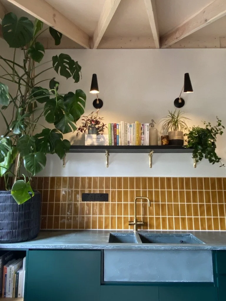 A kitchen with a large potted plant on the left, a black shelf with books and plants, two wall-mounted black lamps, a brown tiled backsplash, a brass faucet over a double basin sink, and teal cabinets.