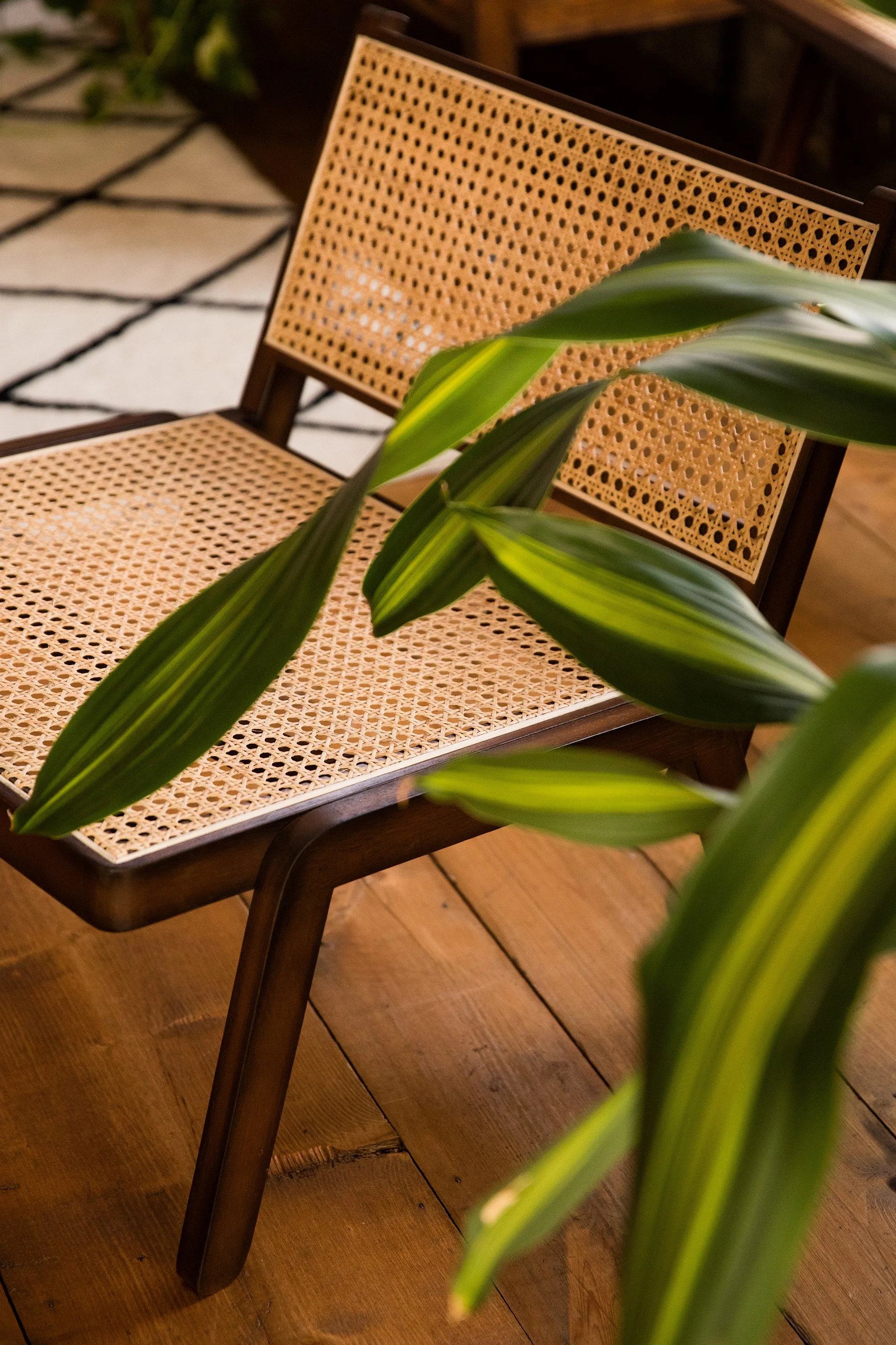 Indoor scene with a wooden chair featuring a cane seat and backrest, partially covered by large green leaves from a potted plant, on a wooden floor with a patterned tile area in the background.