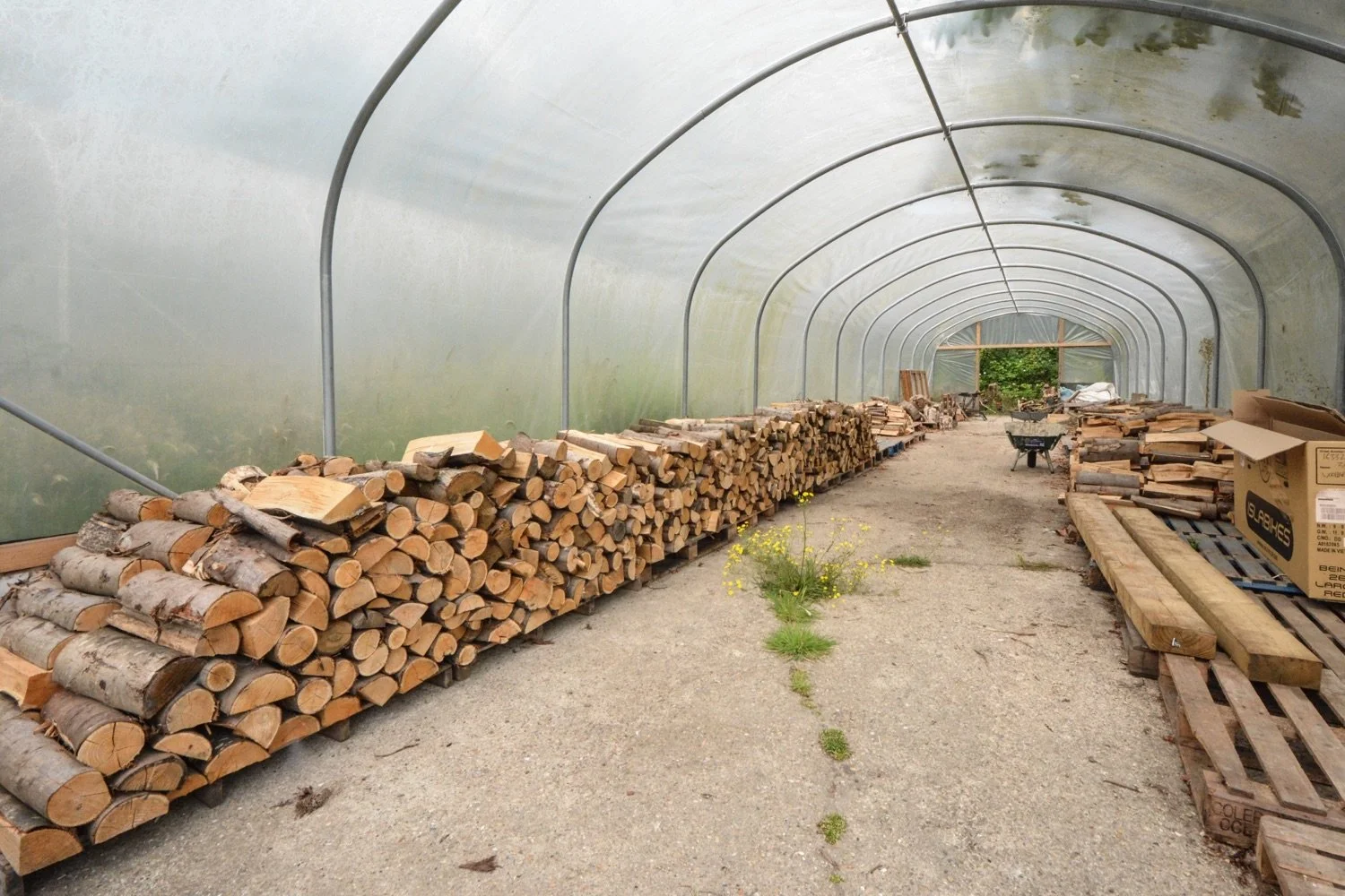 Arrays of chopped firewood logs stacked inside a greenhouse or covered storage area, with some wooden pallets and boxes nearby, and a wheelbarrow at the end of the space.