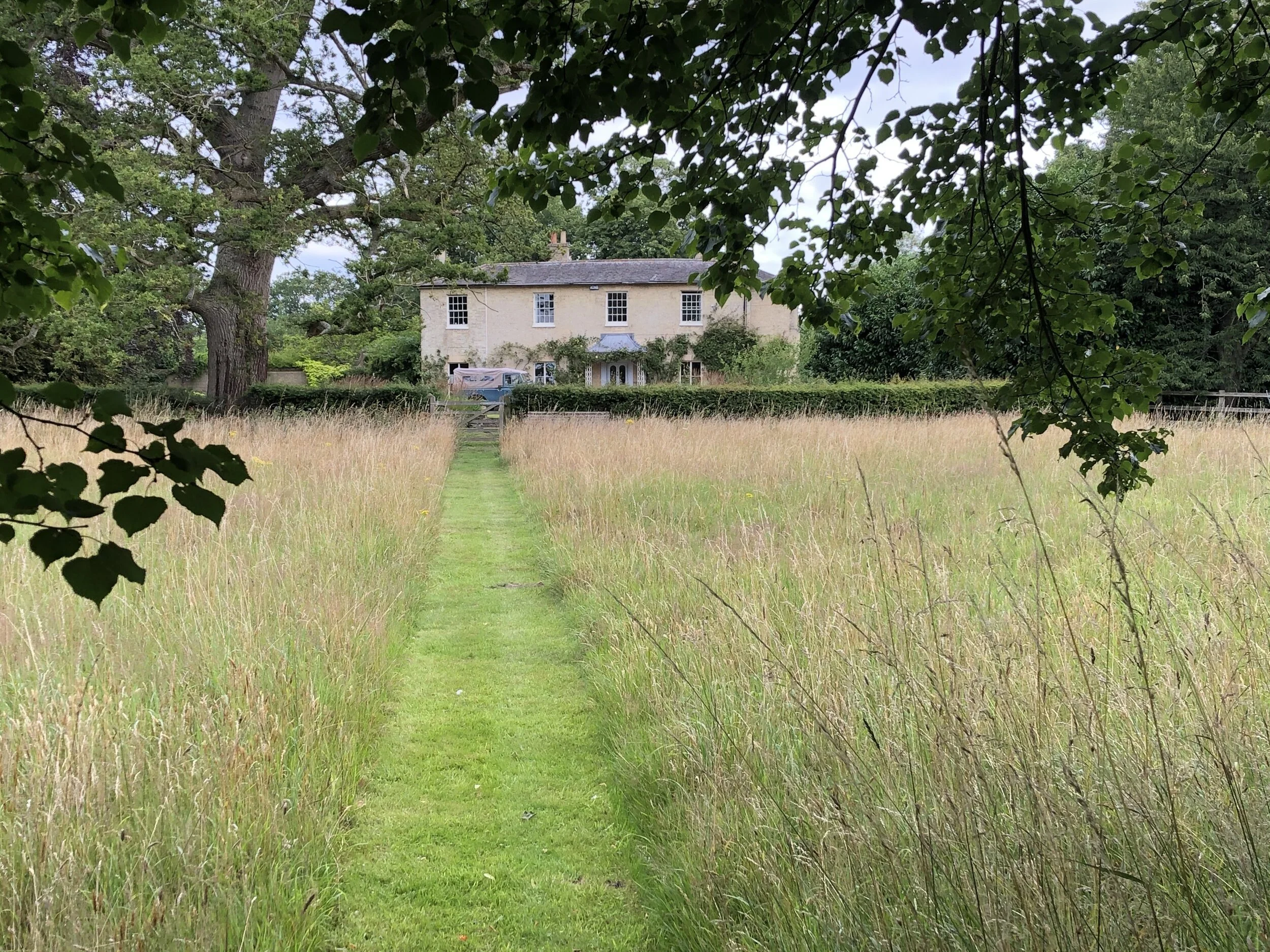 A grassy pathway through a field of tall grass leading to a large, two-story house surrounded by trees and greenery.