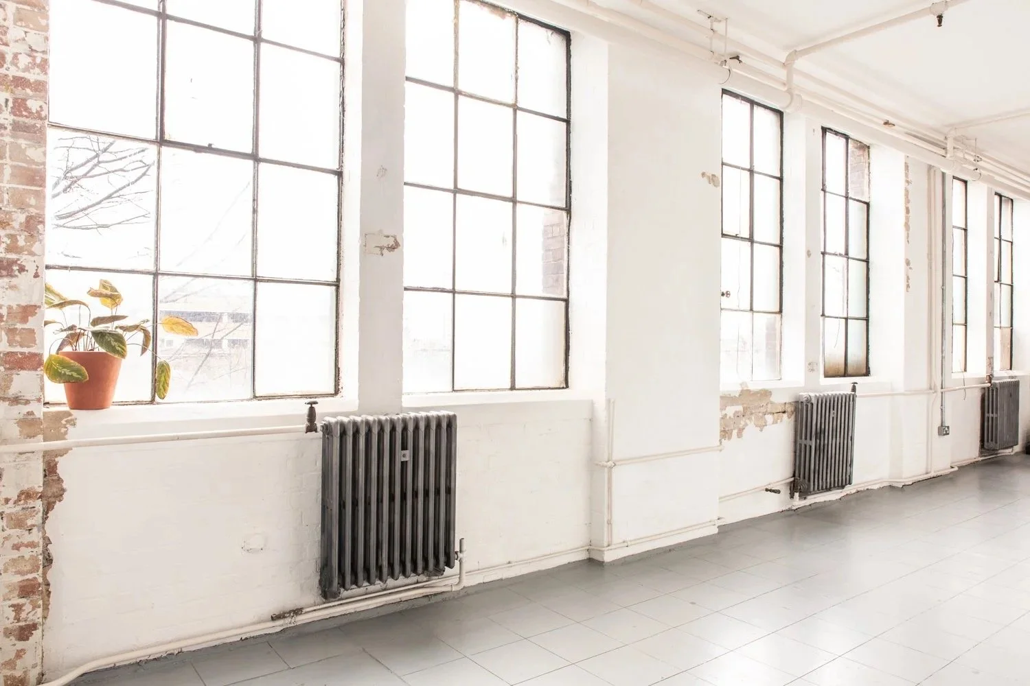 Interior of an industrial-style room with large windows, white brick walls, exposed piping, a potted plant on the window sill, and old radiators along the wall.