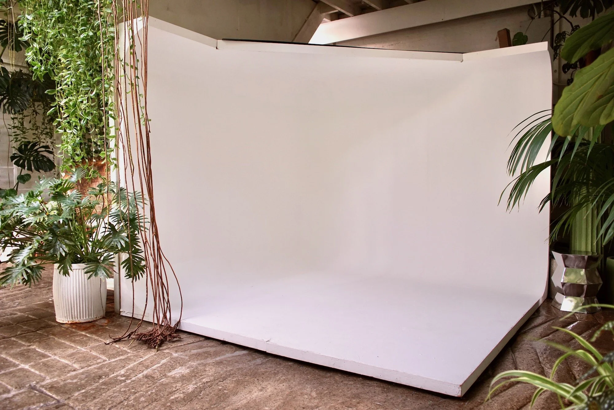 A photography backdrop setup with a white curved paper backdrop and green potted plants on both sides, on a brick floor.