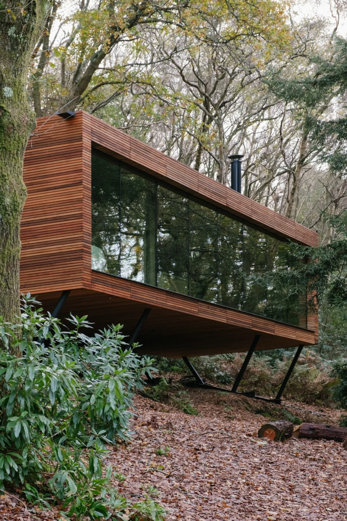 A modern, elevated house with wooden exterior, large glass windows, and a black chimney, situated in a forest with trees and plants surrounding it.