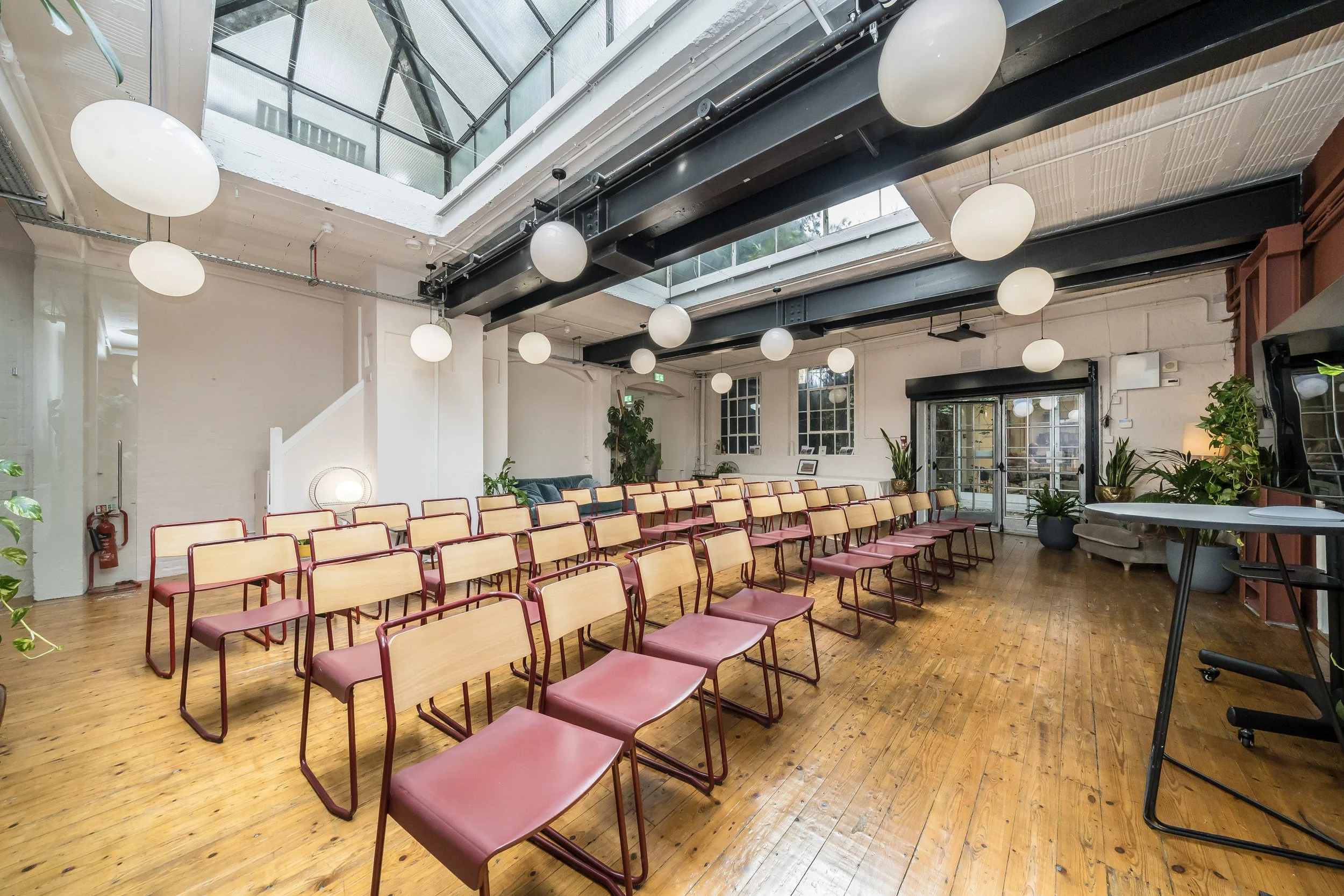 Empty room with rows of pink chairs, large windows, hanging round white lights, potted plants, and a wooden floor, set up for a meeting or presentation.