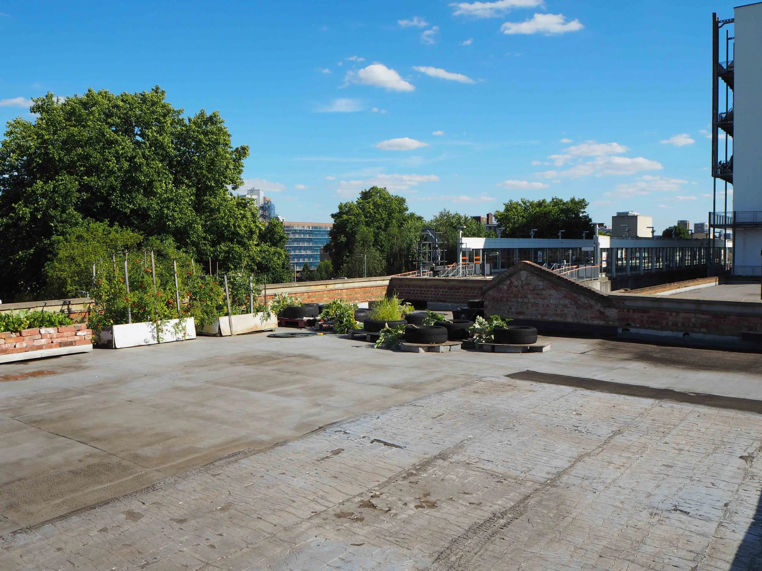 Rooftop garden with plants in containers, tires, and greenery, with city buildings and blue sky in the background.