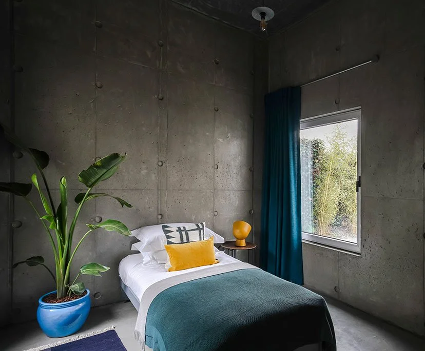 Modern bedroom with concrete walls, a single bed with white bedding and colorful pillows, large plant in a blue pot, nightstand with a yellow lamp, and window with blue curtains letting in natural light.