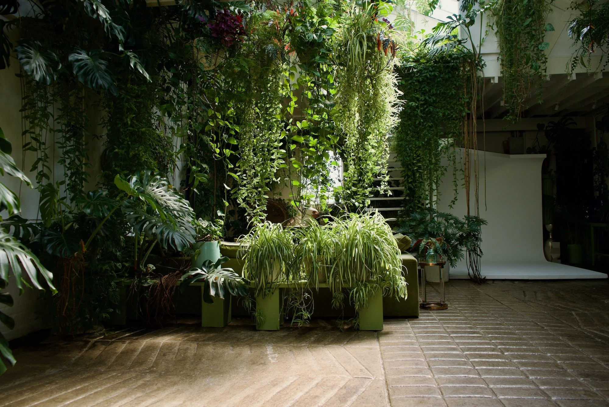 Indoor space with a large variety of lush green plants including a Monstera, hanging plants, and potted plants on a green bench, with sunlight filtering through the windows, and a light-colored backdrop against a brick-tiled floor.