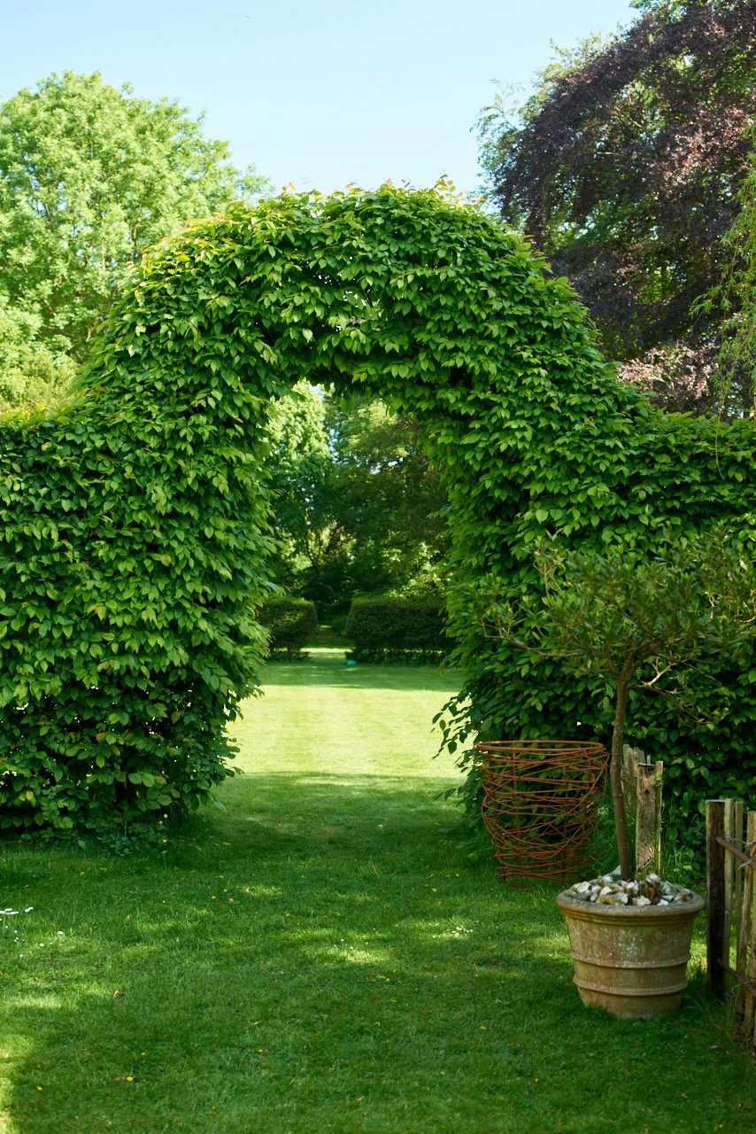 Green garden with an archway made of leafy vines, potted plants, and a well-maintained grassy lawn.