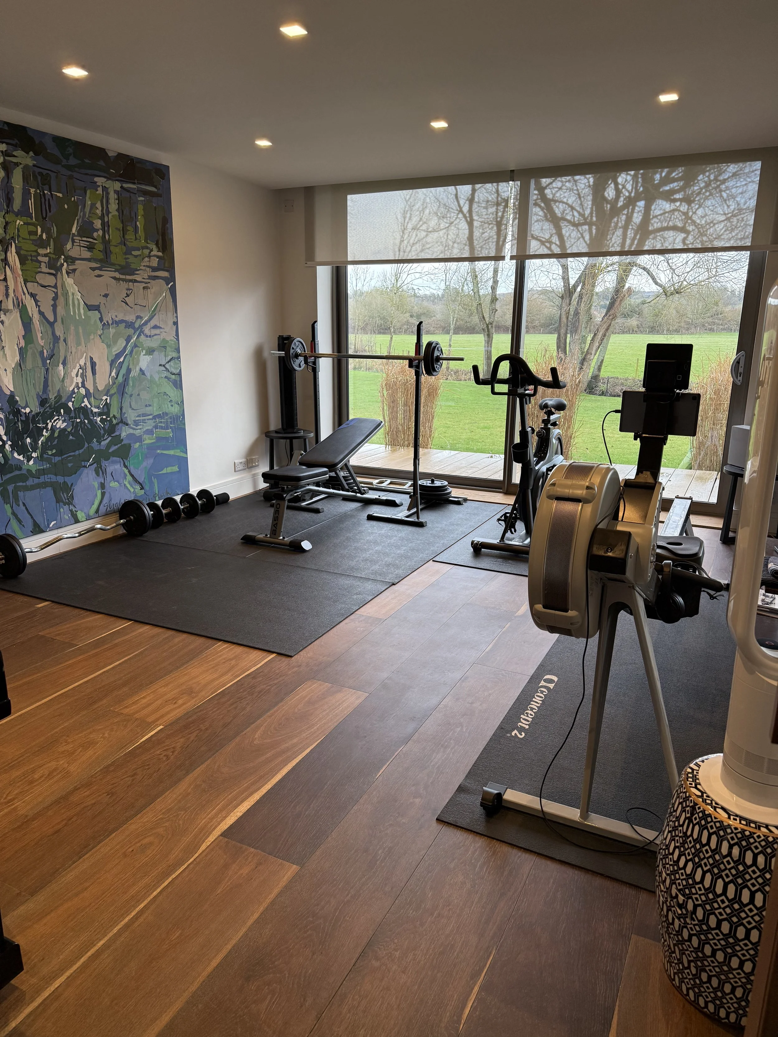 Home gym with weight bench, barbell, dumbbells, exercise bike, and elliptical machine, with large windows showing a green outdoor landscape.