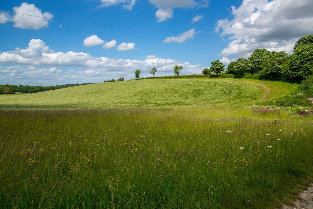 Green grass field with hills and trees under a blue sky with white clouds