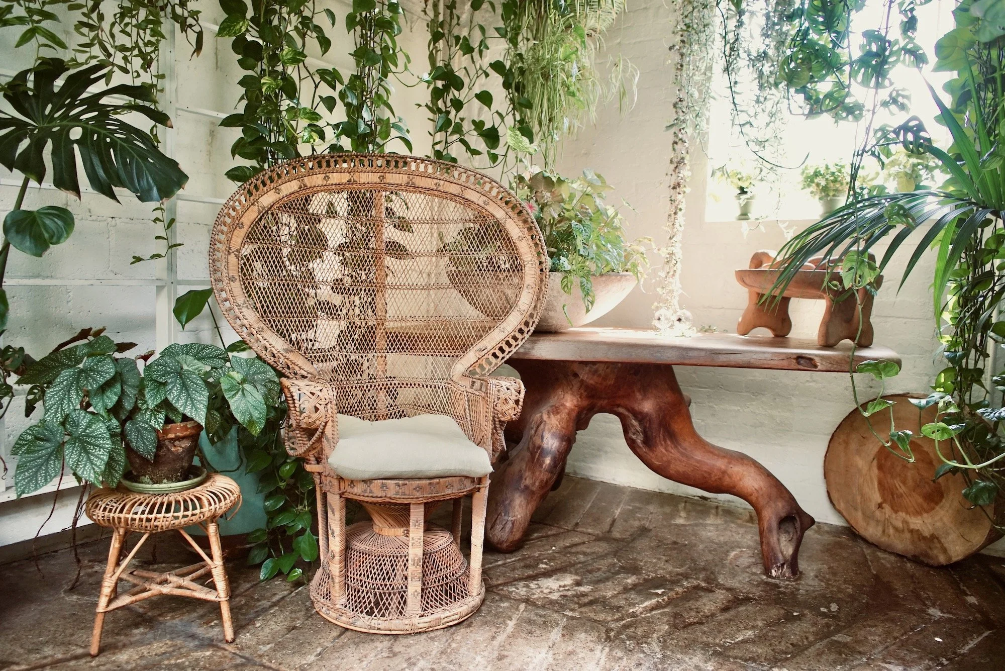 Eclectic indoor space featuring a rattan peacock chair, a small rattan stool with a potted plant, a rustic wooden table, a carved wooden bench resembling an animal, with various lush green plants and a window providing natural light.