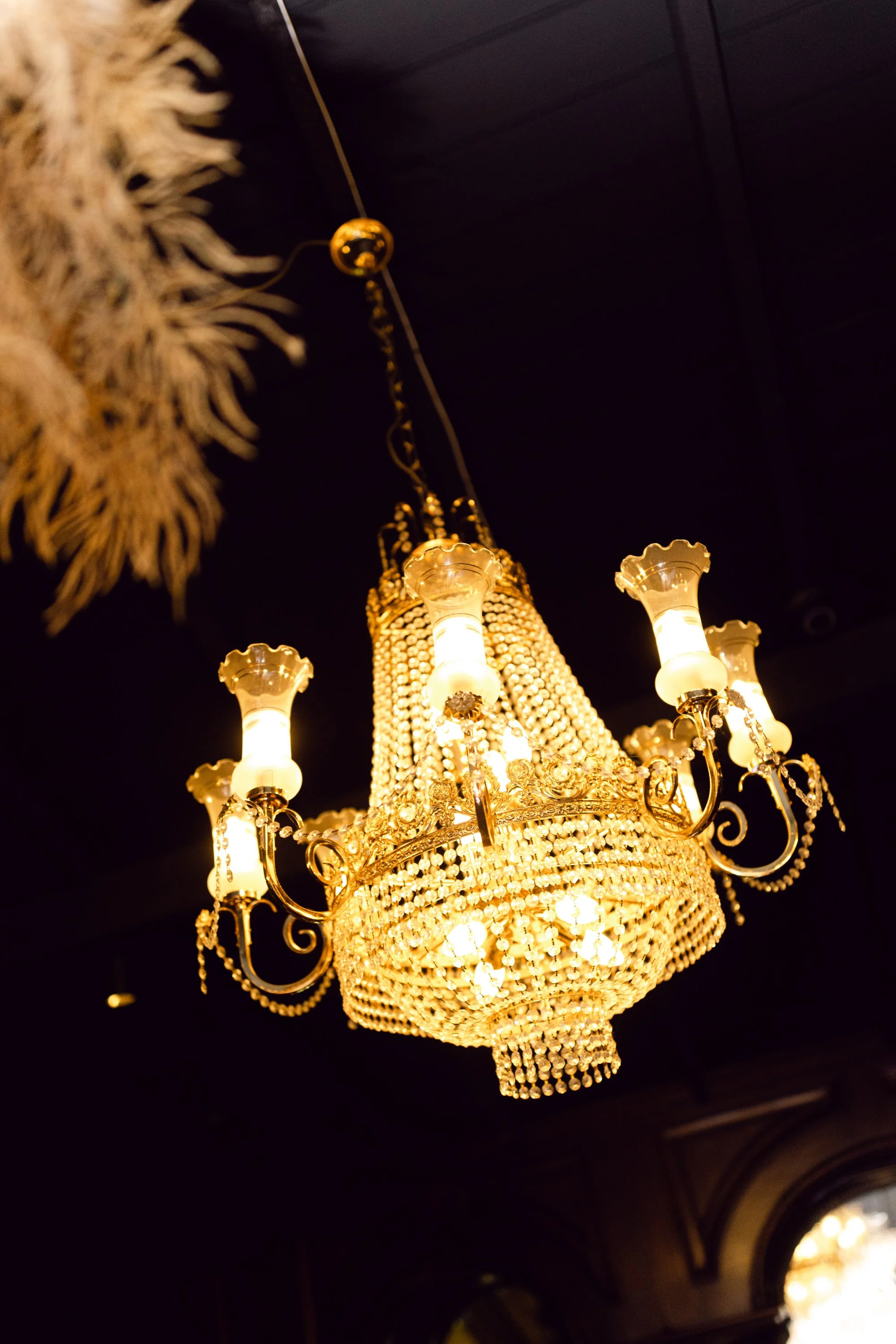Wildandwoozy_Weddigns_Ballarat_Wedding_Photography_Videography_Anthea+Joel_0678.jpg