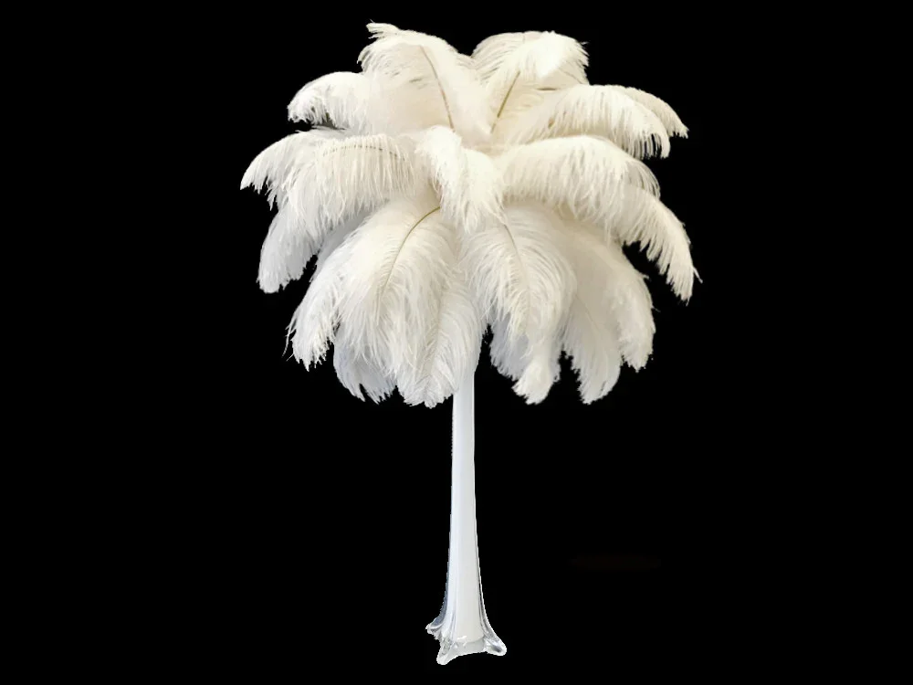 ITEM: 762

Ostrich Feather Centerpieces (Multiple Colors available)