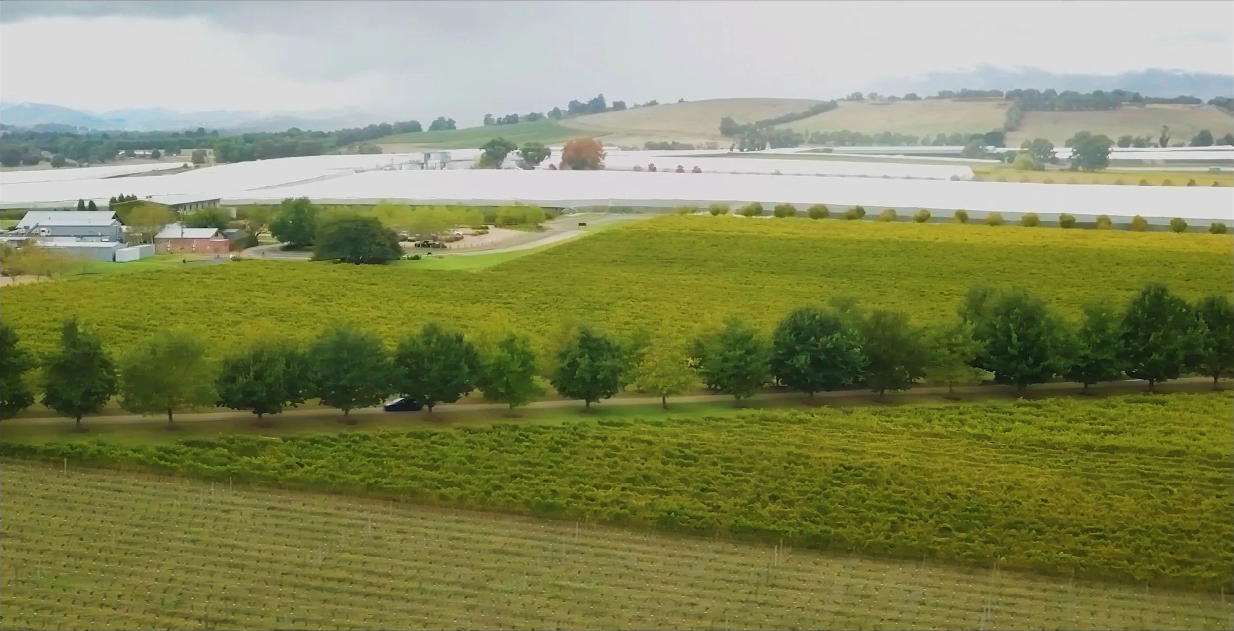 Stones of the Yarra Valley2.JPG