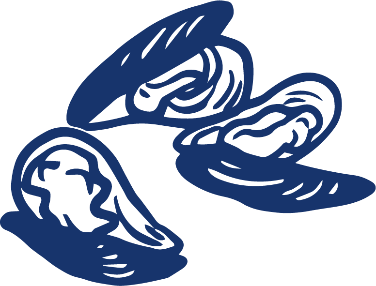 Onion City Chicken & Oyster Perfectly Shucked Oysters and Fried