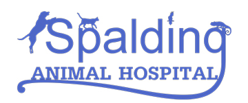 new-logo-spalding.png
