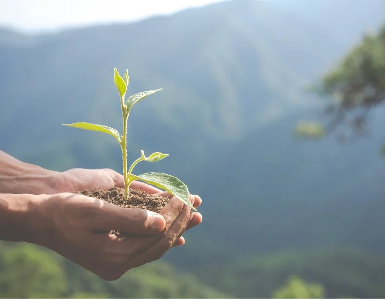 Positive environmental and climate news