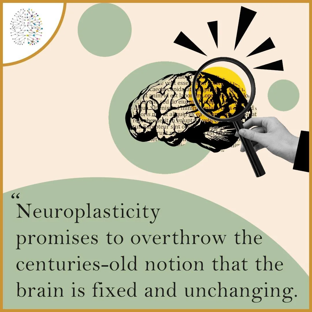 &quot;Arguably the most important breakthrough in neuroscience since scientists first sketched out the brain's basic anatomy, this revolutionary discovery, called neuroplasticity, promises to overthrow the centuries-old notion that the brain is fixed