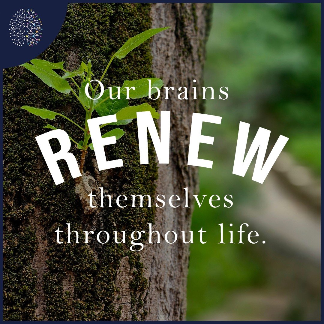 "Our brains renew themselves throughout life to an extent previously thought not possible." Michael Gazzaniga.

❓ Are you interested to discover how your brain works?
❓ Are you looking for help with ADHD &amp; Learning Difficulties, Anxiety