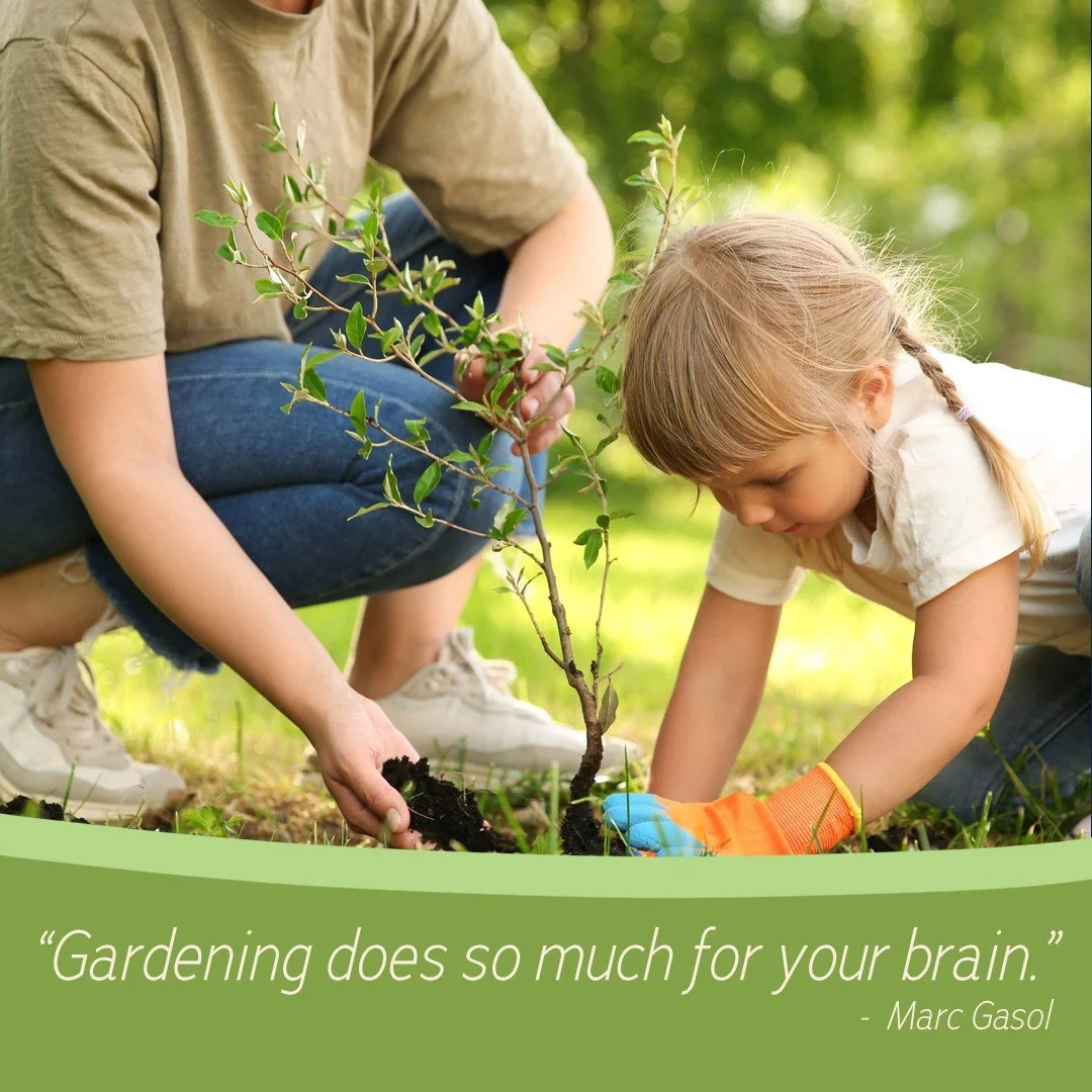 "Gardening does so much for your brain. You're learning how a process works, and how important it is to do everything right so that you can eventually enjoy a tomato three months later. I've always been patient, but gardening really helps you wi