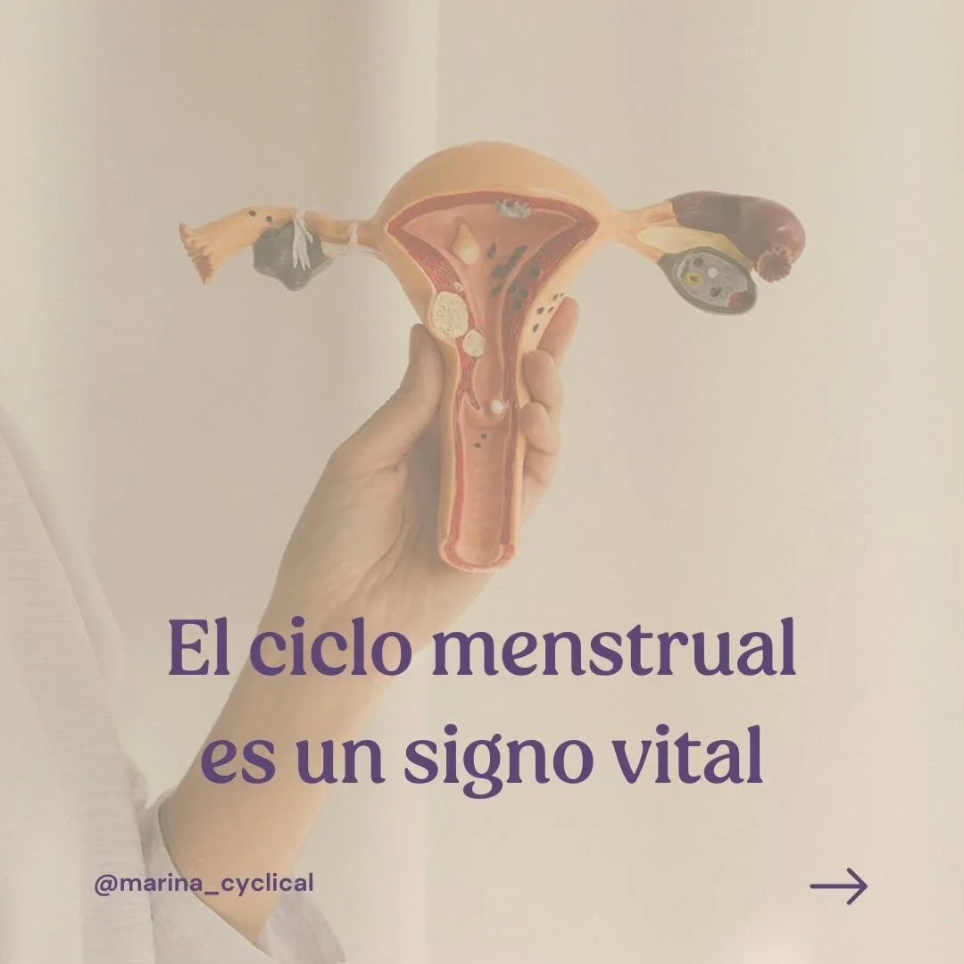 El ciclo menstrual es un signo vital. Y si no lo sab&iacute;as, te lo acabo de descubrir😉

&iquest;Un signo vital? S&iacute; s&iacute;, como lo lees.

Un signo vital como la tensi&oacute;n arterial o la frecuencia card&iacute;aca📈

&iexcl;No te ima