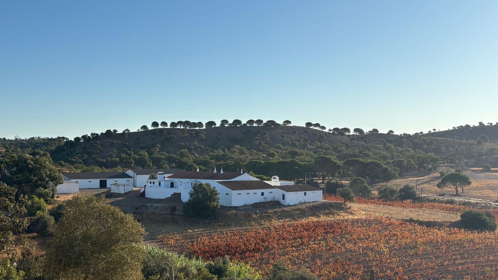 Herdade 3.jpg