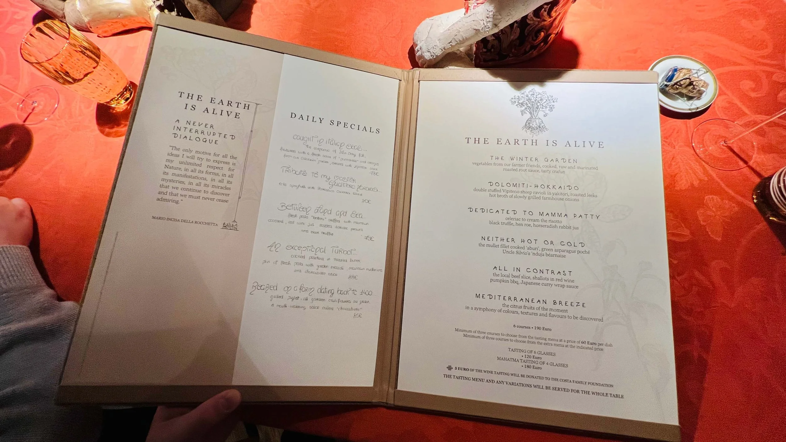 A first person point of view look at Chef Simone Cantafio's menu, The Earth is Alive