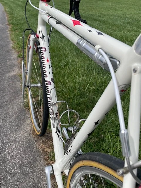DogwoodCycleworx-touring-bicycle-steel-frame-maintraingle-rear.jpeg