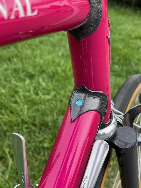 DogwoodCycleworx-vintage-race-bicycle-steel-frame-head-tube-lugs.jpeg