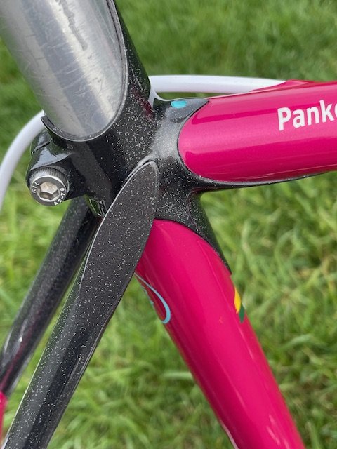 DogwoodCycleworx-vintage-race-bicycle-steel-frame-stay-cap-panko.jpeg