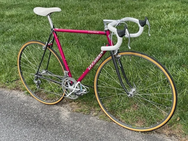 DogwoodCycleworx-vintage-race-bicycle-steel-frame-fornt-3:4-angled.jpeg