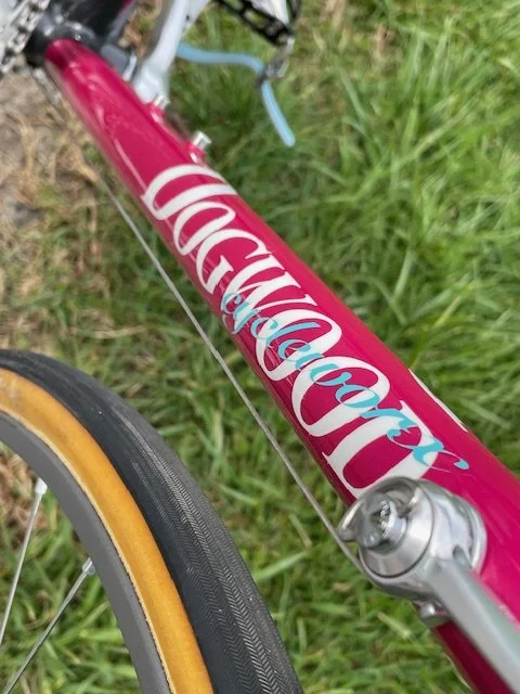DogwoodCycleworx-vintage-race-bicycle-steel-frame-downtube-logo.jpeg