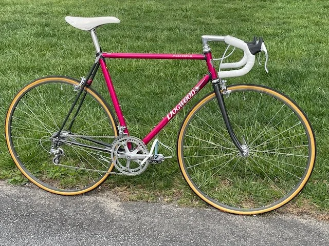 DogwoodCycleworx-vintage-race-bicycle-steel-frame-side.jpeg